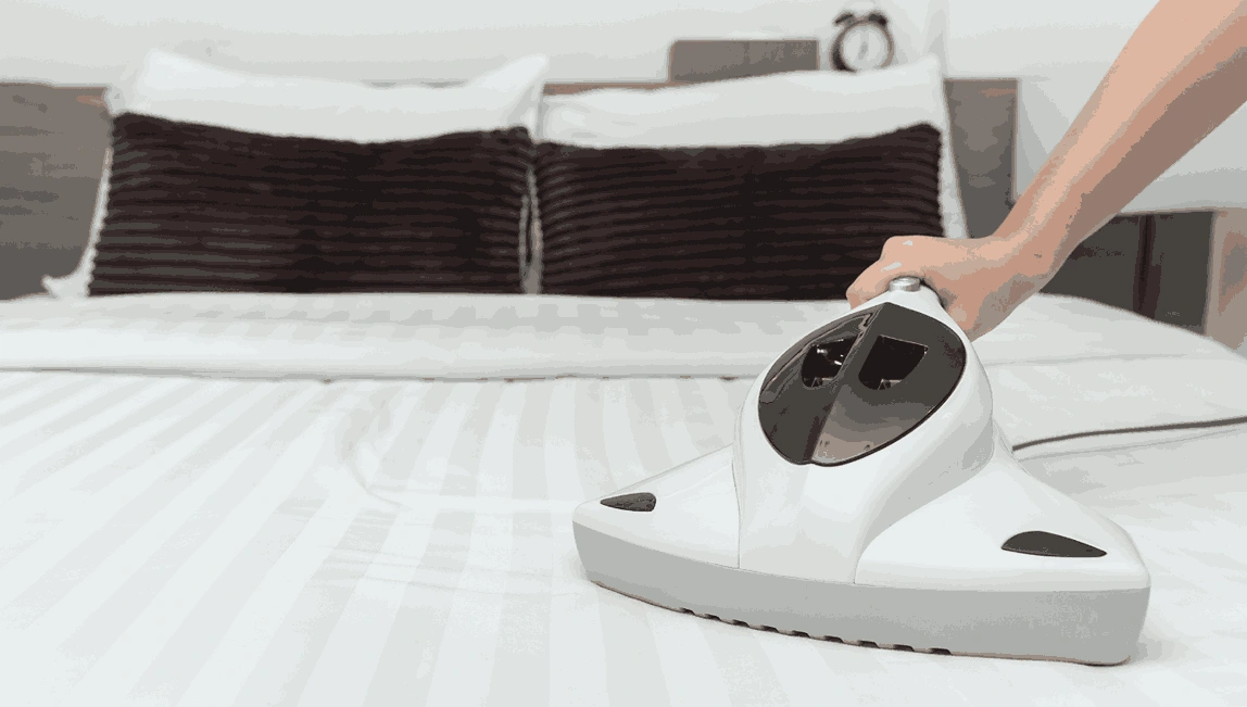 Professional Mattress Cleaning Waverley Gardens